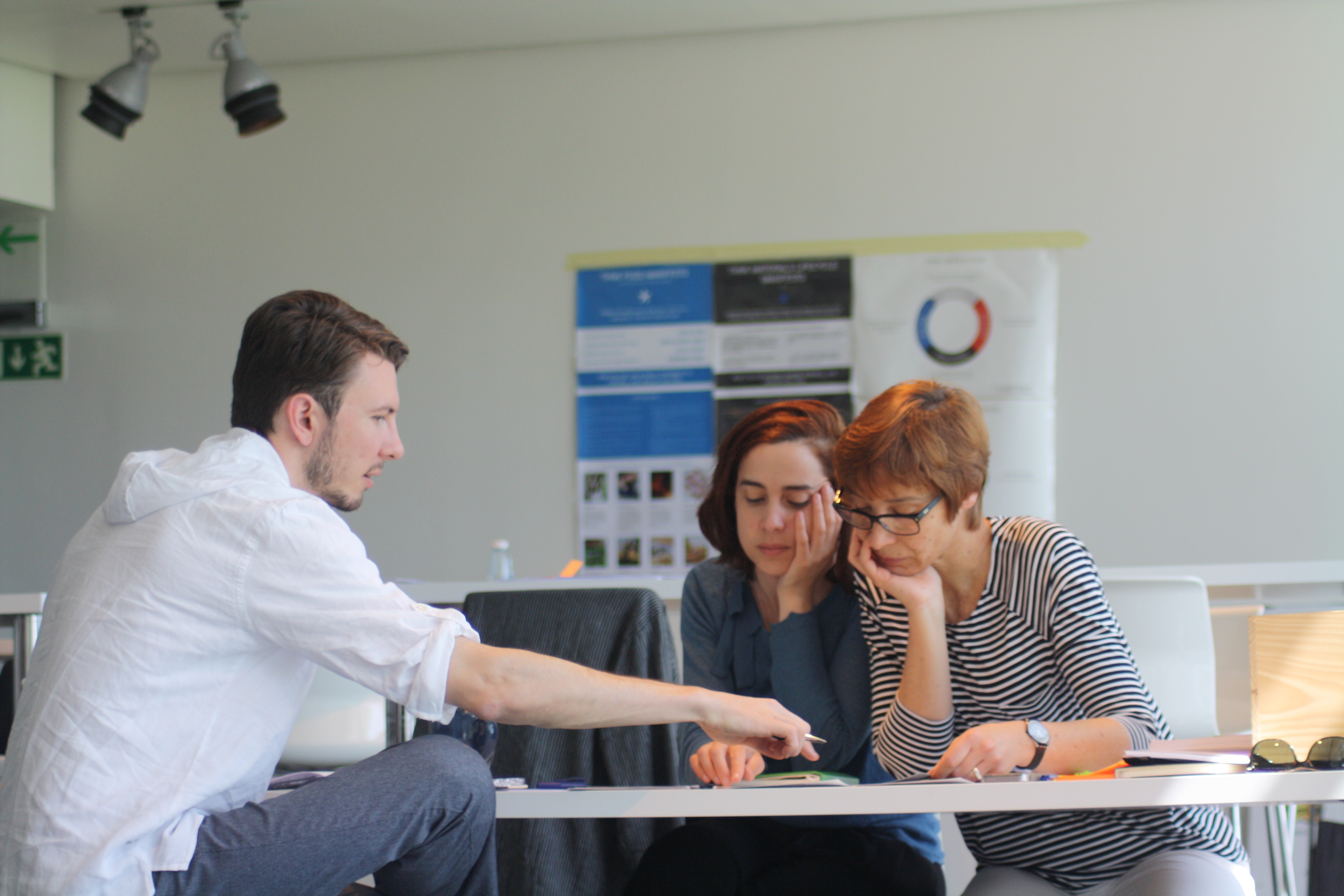 Facilitated workshop on regenerative systems