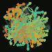 Regen Commons logo