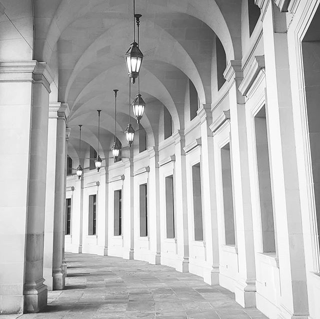 Governance & Organizational Architecture